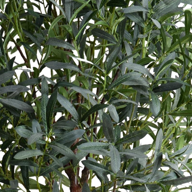 Olive Tree 8'
