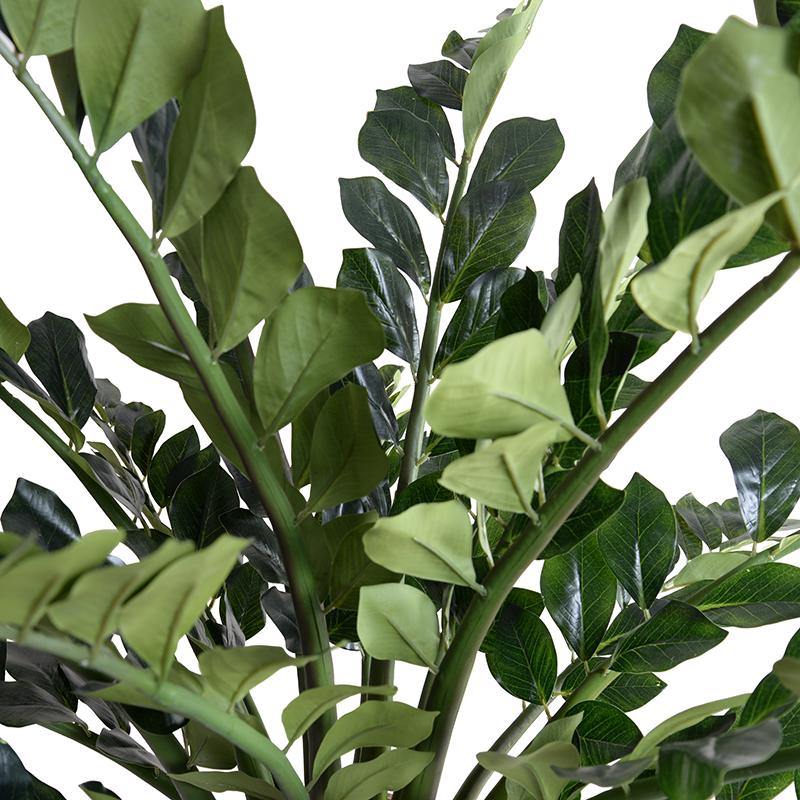 Zamiifolia ("ZZ") Plant 48"H