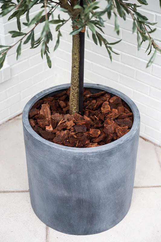 Olive Single Topiary