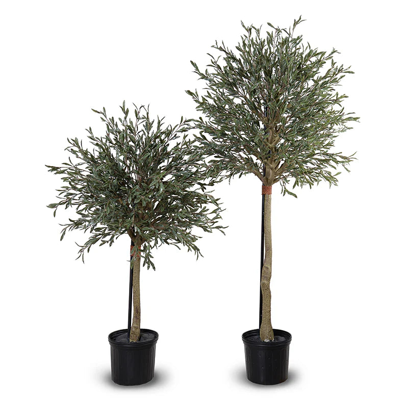Olive Single Topiary