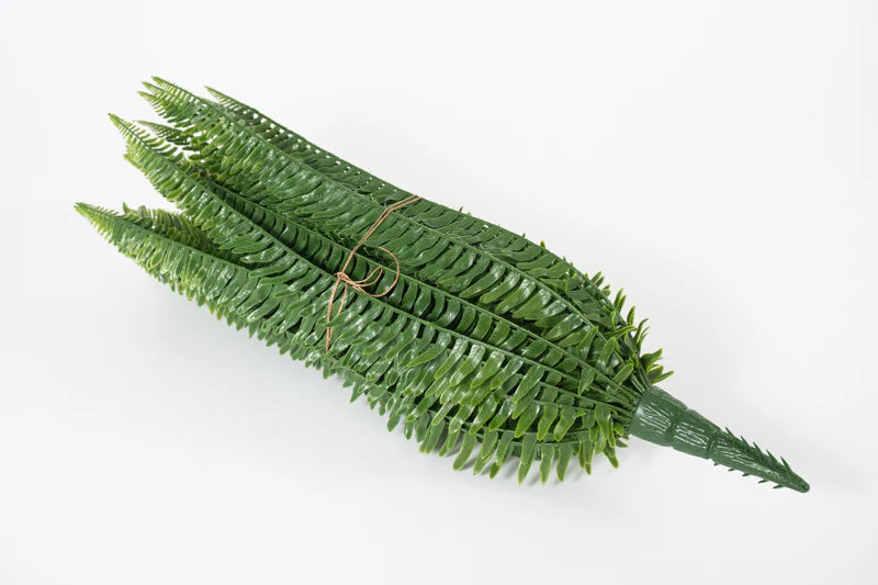 Sword Fern 28"H