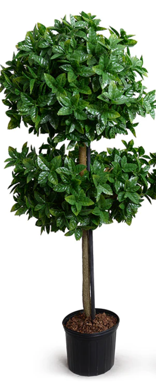 Holly Leaf Topiary
