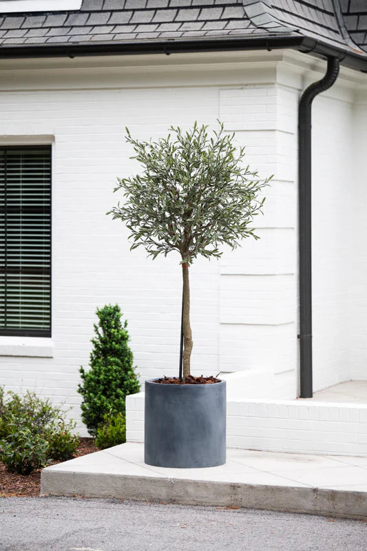 Olive Single Topiary