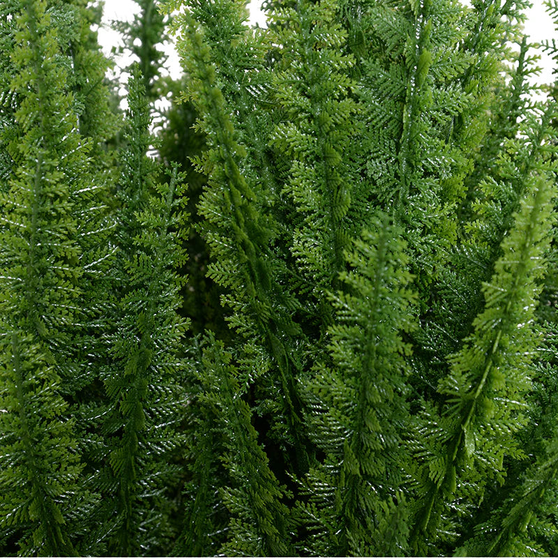 Foxtail Fern 30"H