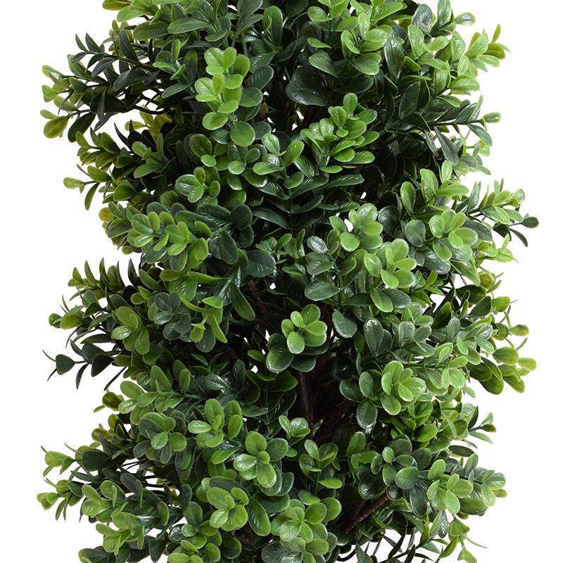 Boxwood Shrub Parterre 26"H