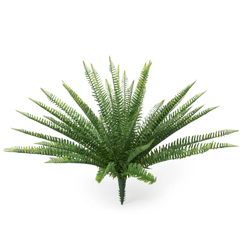 Sword Fern 28"H